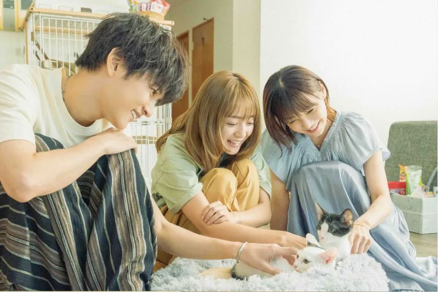 三日月和貓Netflix