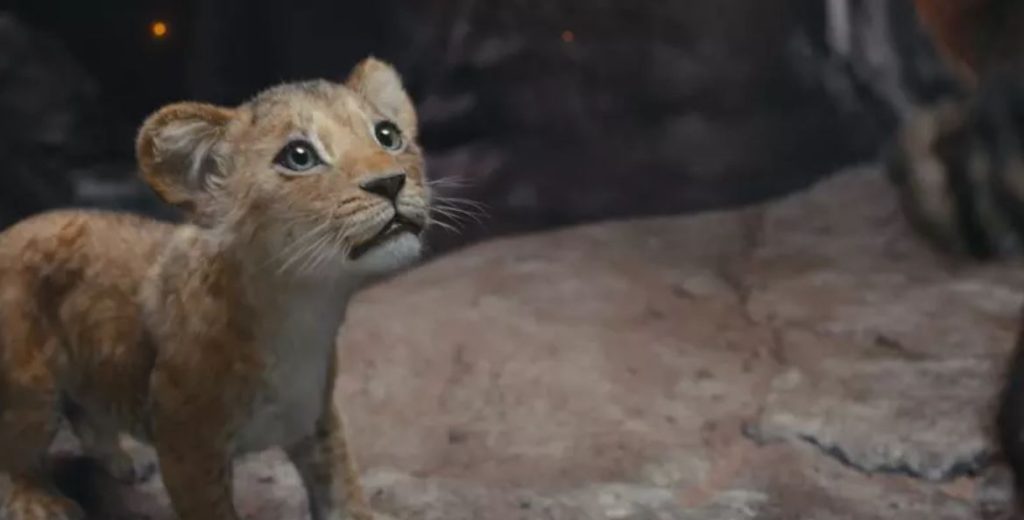 獅子王:木法沙DCARD