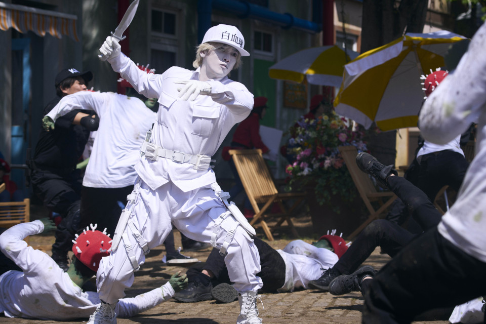 工作細胞劇迷小鴨