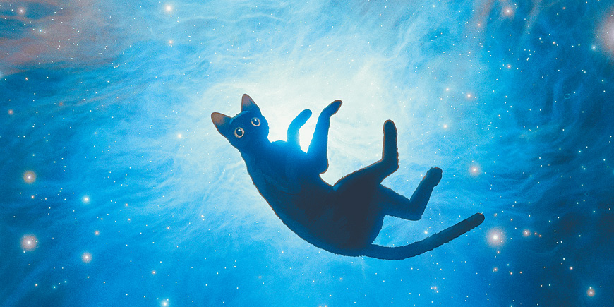 喵的奇幻漂流推薦嗎