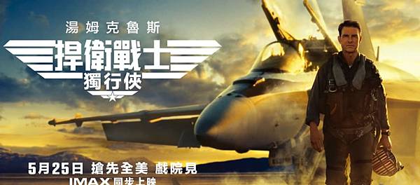 捍衛戰士:獨行俠